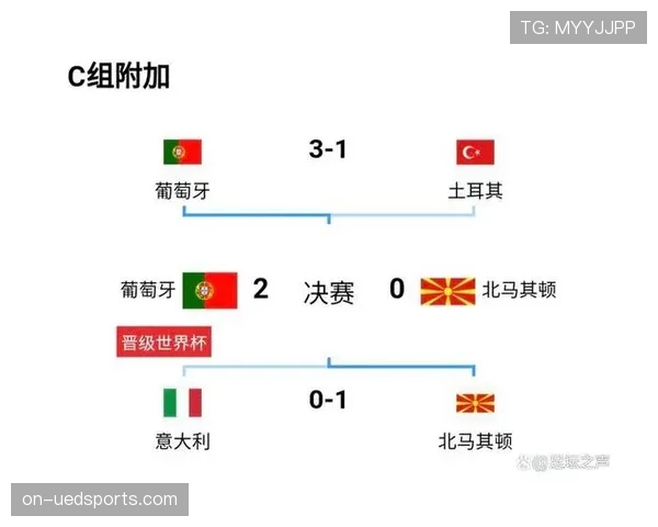葡萄牙世界杯替补深度分析豪华程度评估